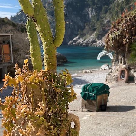 Capri Magic House On The Beach Eksteriør billede
