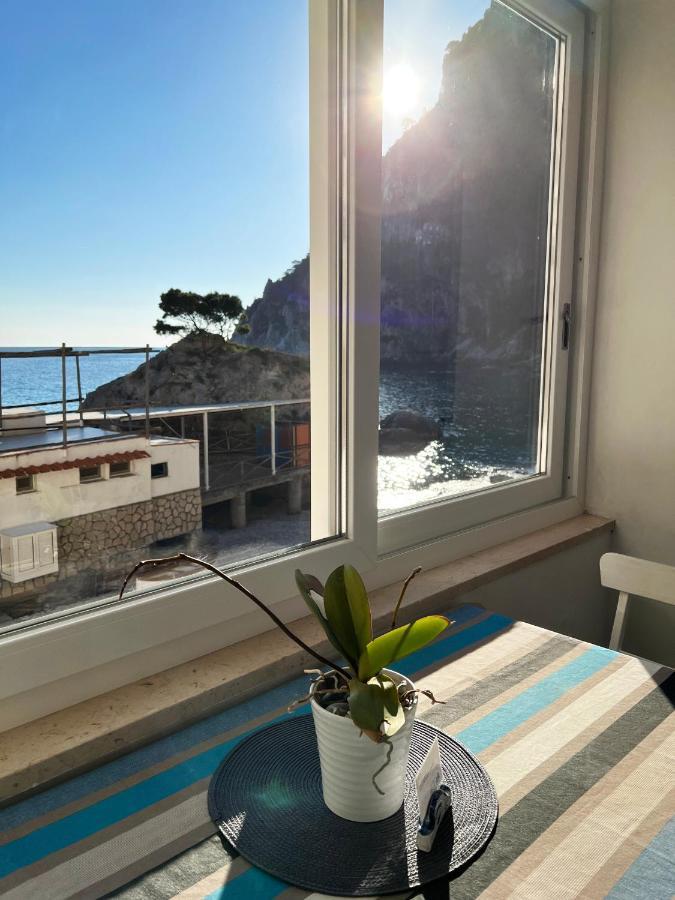 Capri Magic House On The Beach Eksteriør billede